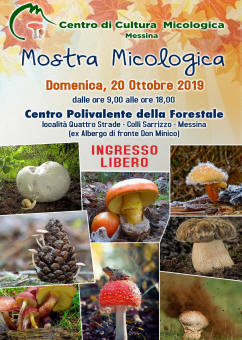 Mostra Micologica dei Peloritani Messina