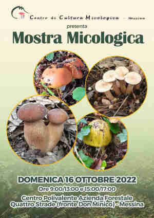 Mostra micologica Peloritani Messina