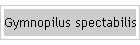 Gymnopilus spectabilis
