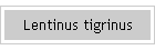 Lentinus tigrinus