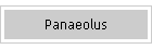 Panaeolus