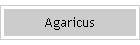 Agaricus