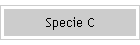 Specie C