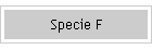 Specie F