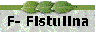 F- Fistulina