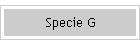 Specie G