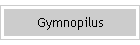 Gymnopilus