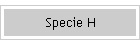 Specie H