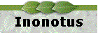 Inonotus