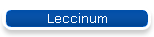 Leccinum
