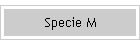Specie M