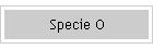 Specie O