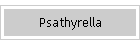 Psathyrella