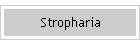 Stropharia