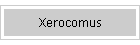 Xerocomus
