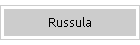 Russula